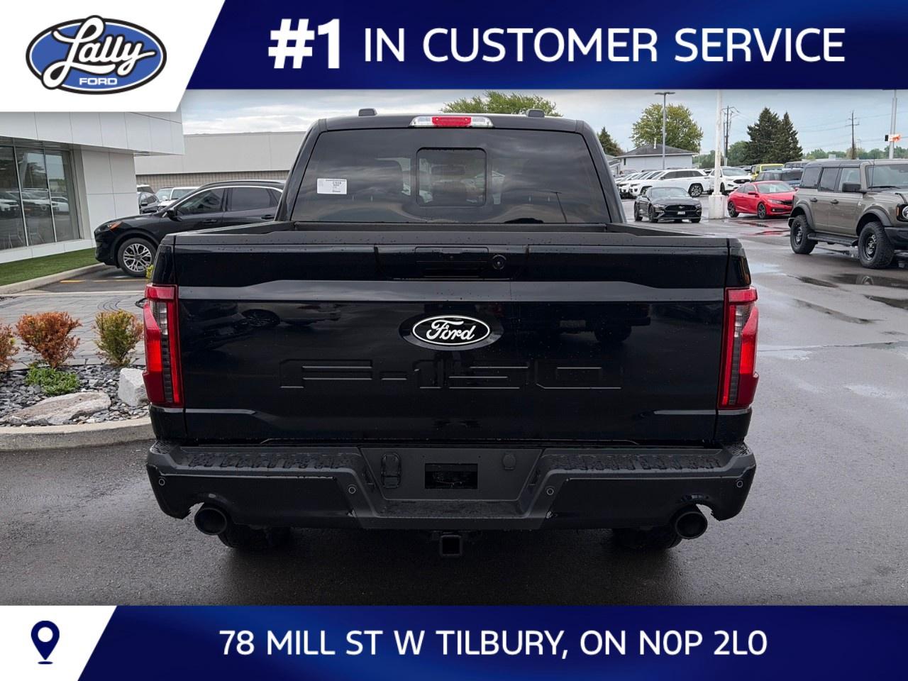 2026 Ford F-150 XLT 4WD SuperCrew 5.5' Box Photo