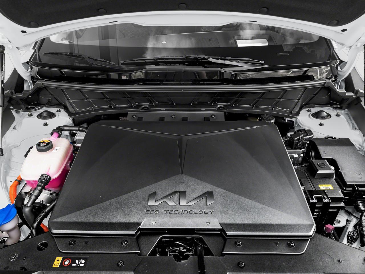 2026 Kia NIRO EV WAVE Photo