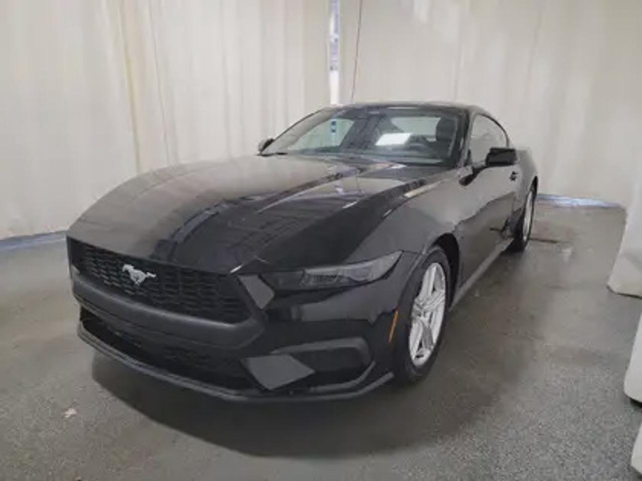 This new 2026 Ford Mustang EcoBoost Premium looks eye catching in the color Shadow Black. This fastback comes with the 2.3L EcoBoost engine which connects you to the road with this 10-speed automatic transmission. This popular engine produces 315 horsepower and 350 lb.-ft of torque.  

Key Features:
Ford Co-Pilot 360 Technology 
Lane Keep Assist 
Heated Steering Wheel
Rear View Camera 
Adaptive Cruise Control
Rain Sensing Wipers 
Rear Parking Sensors 
Ford Connectivity Package (1-year included)*
SYNC 4W/ 9 Speaker Stereo System
Wireless Apple Car Play/Android Auto Connection 
Leather Heated Seats
13.2 LCD Touchscreen
Pre- Collison Assist 
3.15 Limited Slip Axle 
18 X 8 Painted Shadow Silver Cast Aluminum 
Dual-Zone Climate Control 
6-Way Power Drivers Seat & 4-Way Power Passenger Seat

This vehicle comes with the All-Weather Packageready to take on any season!
Snow, rain, mud, or sunshinethis vehicle is built for it all! The All-Weather Package adds extra protection where it matters most, with premium mud flaps to shield your paint from road debris, all-weather floor mats to protect your interior from lifes messes, and Xpel paint protection to help guard against those infuriating rock chips. Drive with confidence, knowing your investment is protected from Reginas elements.

Bennett Dunlop Ford, proudly serving Regina for over 40 years, is conveniently located at 770 Broad Street. With over 3,500 Google reviews, our reputation reflects our commitment to providing a fast, easy, and enjoyable vehicle-buying experience. We eliminate the hassle with no admin or documentation fees, transparent upfront pricing that lets you shop with total confidence. But were more than just a dealershipwere driven to make a difference by supporting local community initiatives and events that matter to you. Visit Bennett Dunlop Ford today and experience why were Reginas trusted choice for quality vehicles, exceptional service, and a genuine commitment to driving change in our community!