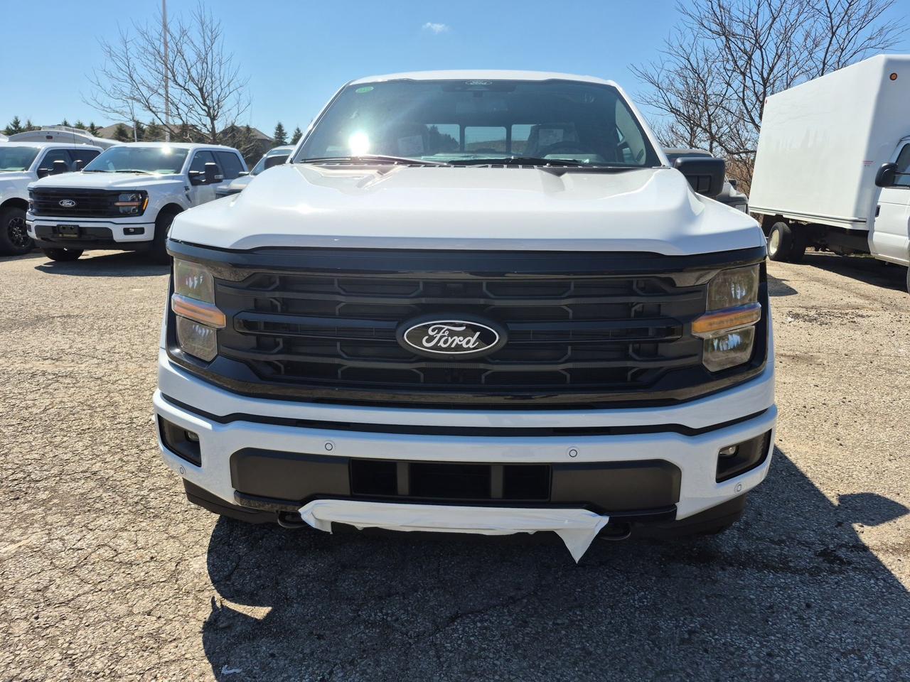 2026 Ford F-150 XLT, 360 CAMERA, ADAPTIVE CRUISE, BLACK PKG Photo