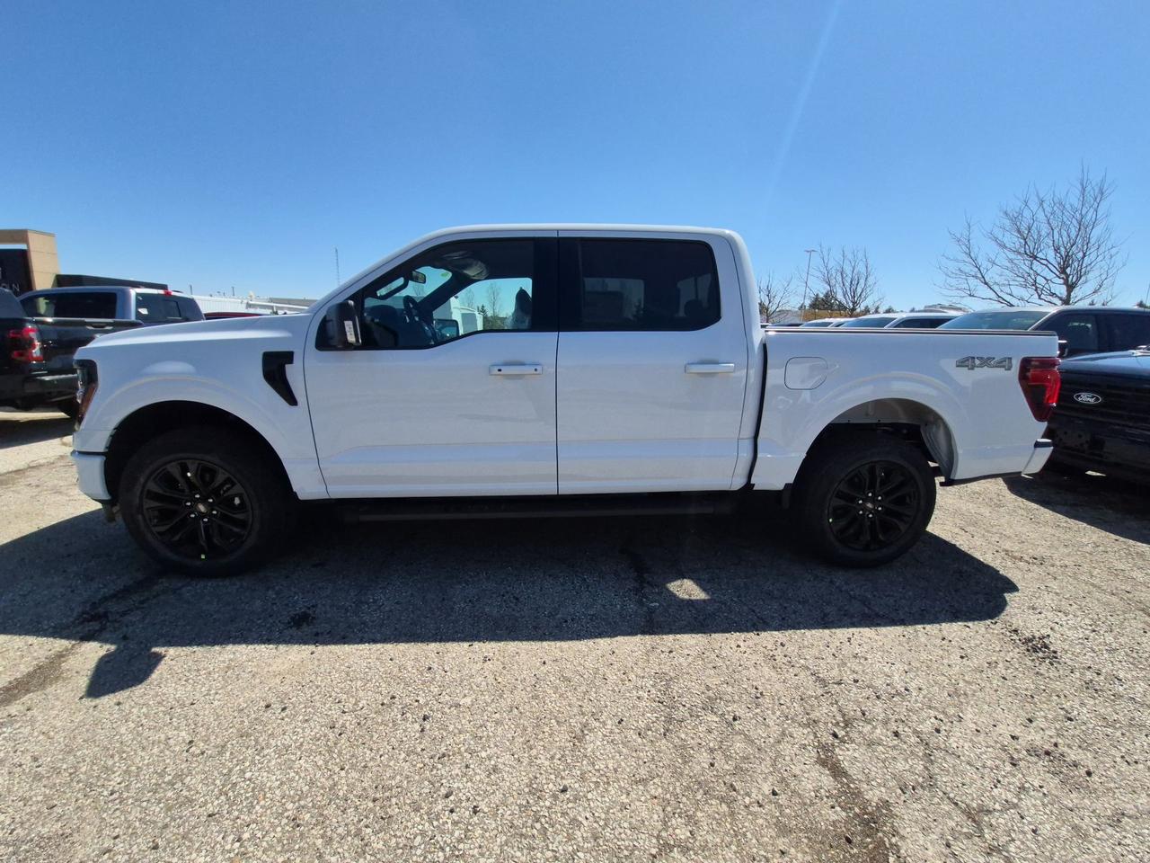 2026 Ford F-150 XLT, 360 CAMERA, ADAPTIVE CRUISE, BLACK PKG Photo