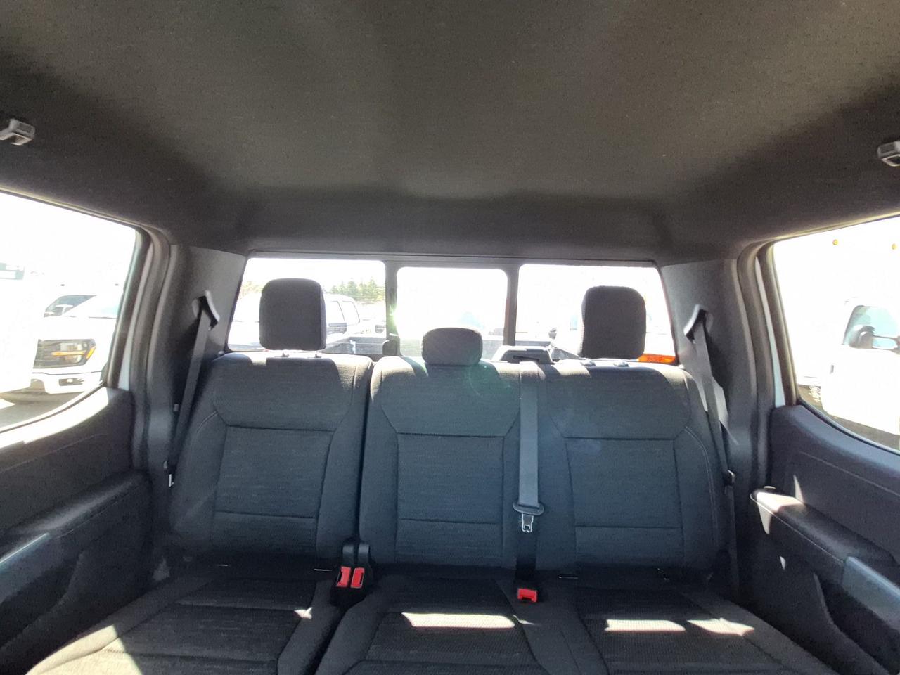 2026 Ford F-150 XLT, 360 CAMERA, ADAPTIVE CRUISE, BLACK PKG Photo