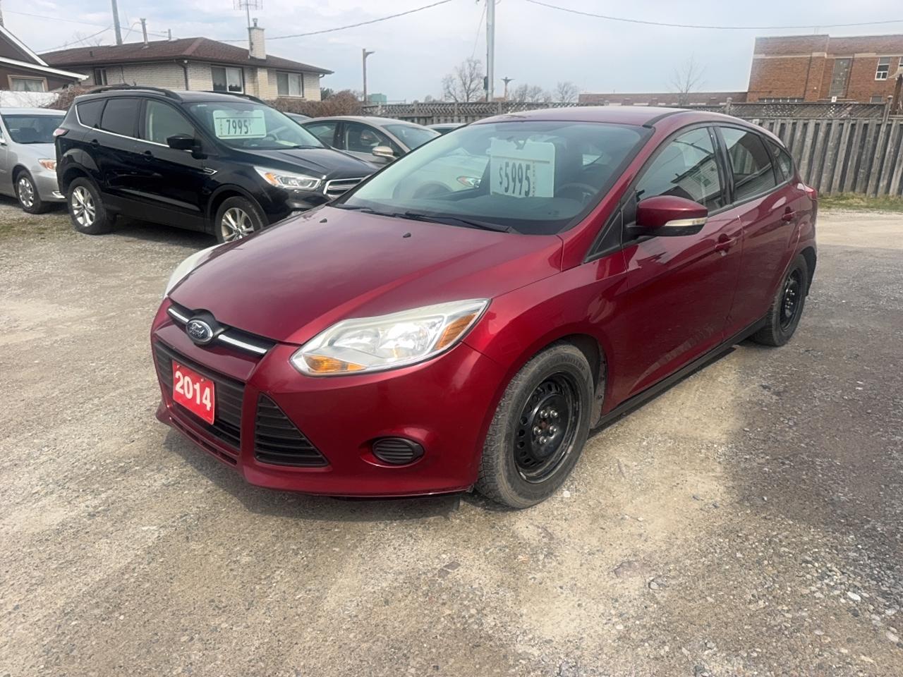 2014 Ford Focus SE Photo