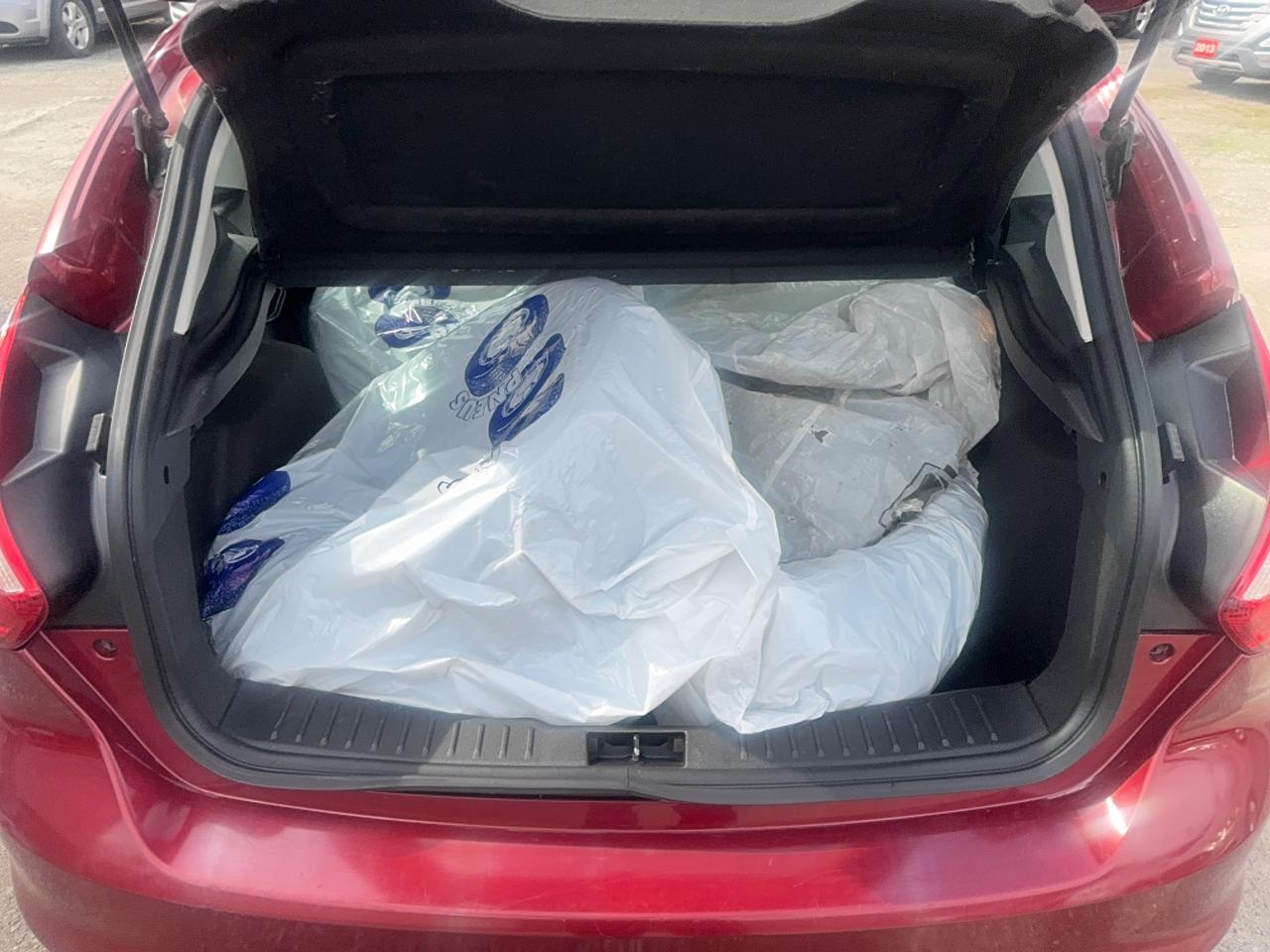 2014 Ford Focus SE Photo