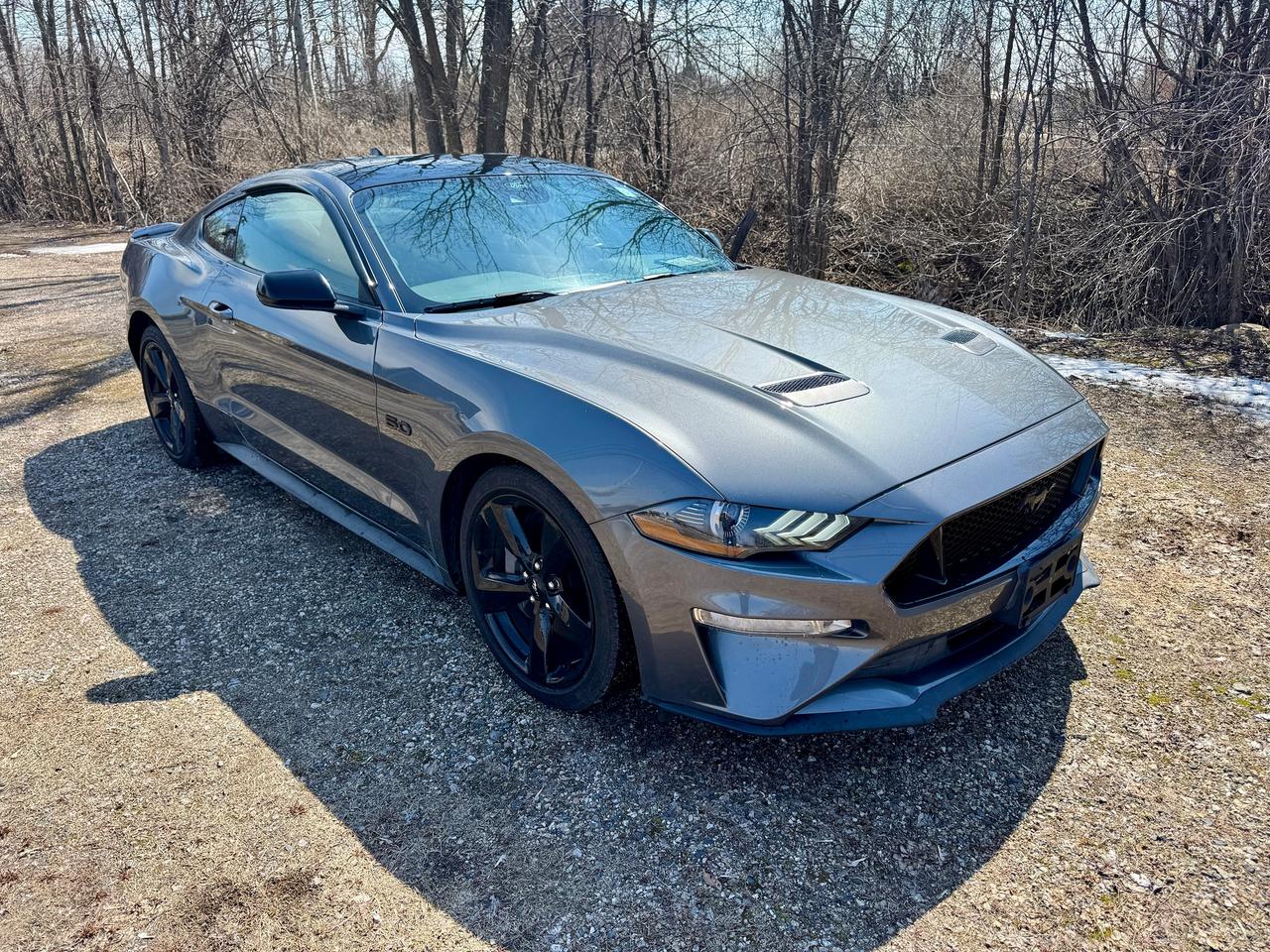 <p>2022 Ford Mustang GT Premium 5.0L V8 450HP 6-Speed Manual Transmission</p><p>Equipment Group 301A, Ford Sync touchscreen infotainment, FordPass, MyKey, Keyless Entry, Push Button Start, Reverse Camera / Sensors, Black Accent Package, Power window, Power Locks, Power Mirrors, Power Seats, Active Valve Control, Adaptive Cruise Control, Painted Black Roof, Spoiler, Navigation / Apple Carplay / Android Auto, and more.</p><p>At Callan Motors, all our vehicles come certified in Ontario unless otherwise noted. Every car receives a full mechanical inspection so you can drive with confidence. Plus, we stand behind our work with a 30-Day / 1,000-KM in-house warranty on repairs completed for certification or while in our inventory.</p><p>We&rsquo;ve proudly served Perth and the surrounding area for over 32 years, offering reliable vehicles at fair prices. We keep our prices competitive&mdash;often below market&mdash;and update them regularly so you know you&rsquo;re getting solid value. Our team is available 7 days a week to answer any questions online or in person Monday through Saturday.</p><p>&nbsp;</p>