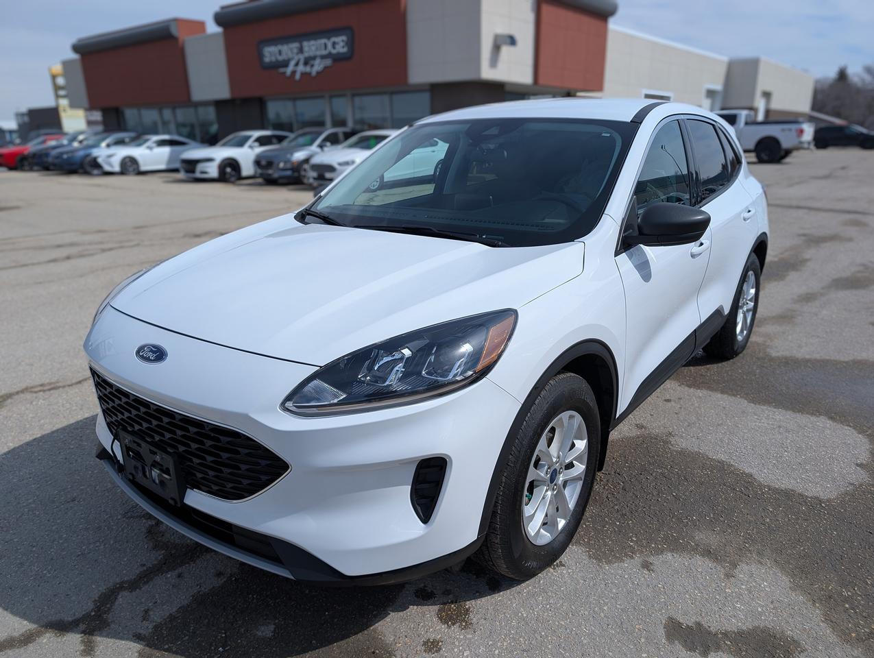 Used 2022 Ford Escape SE AWD | Manitoba owned for sale in Steinbach, MB