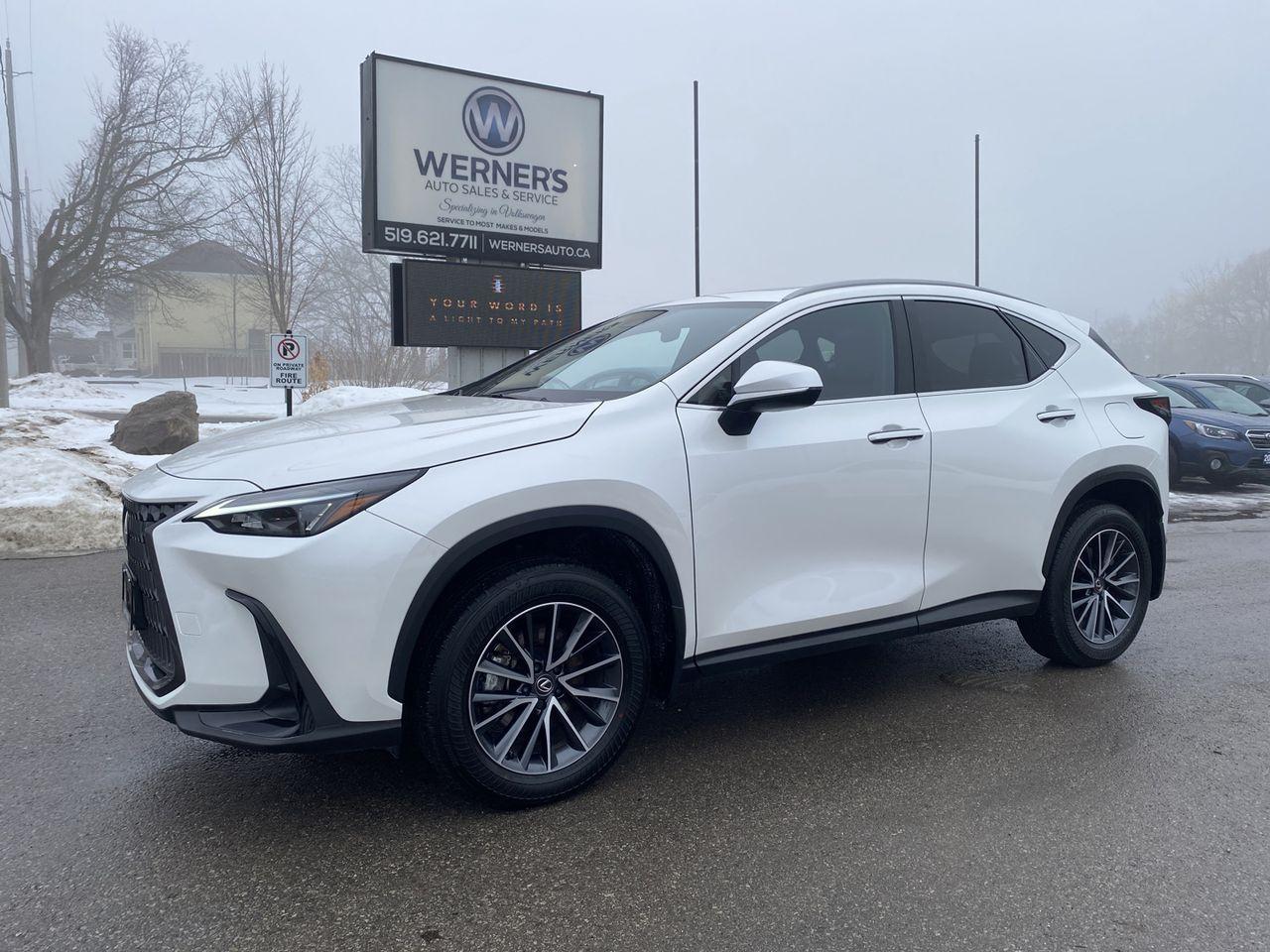 2025 Lexus NX 450h AWD - Photo #1