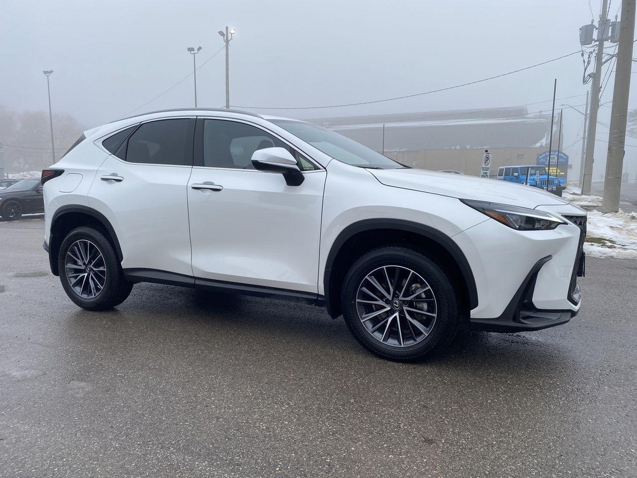 2025 Lexus NX 450h AWD Photo3
