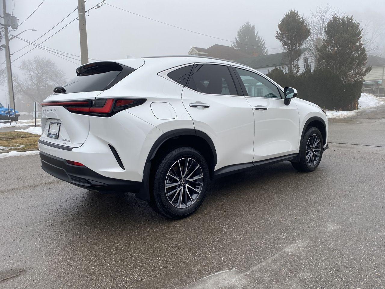 2025 Lexus NX 450h AWD Photo2