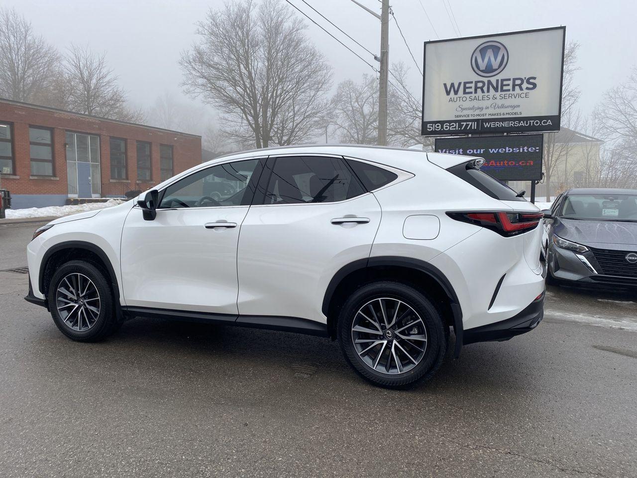 2025 Lexus NX 450h AWD Photo1