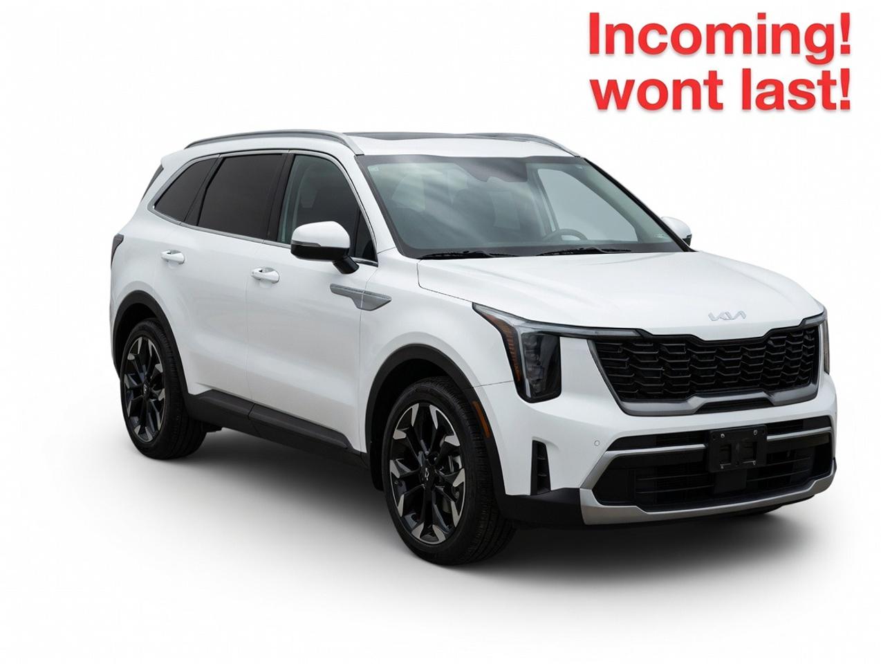 Used 2025 Kia Sorento EX for sale in Tilbury, ON