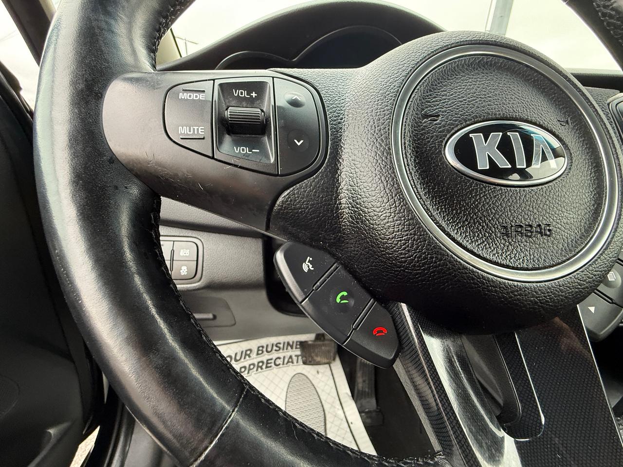 2014 Kia Rondo EX LUXURY Photo