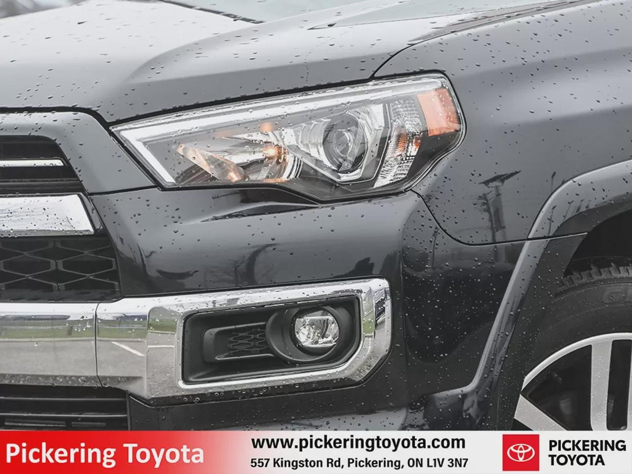 2022 Toyota 4Runner Limited Photo