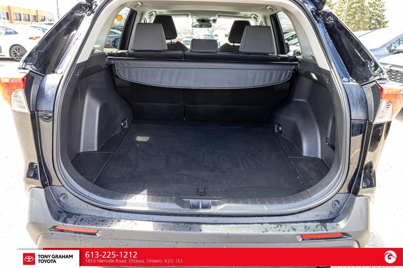 2025 Toyota RAV4 XLE Photo