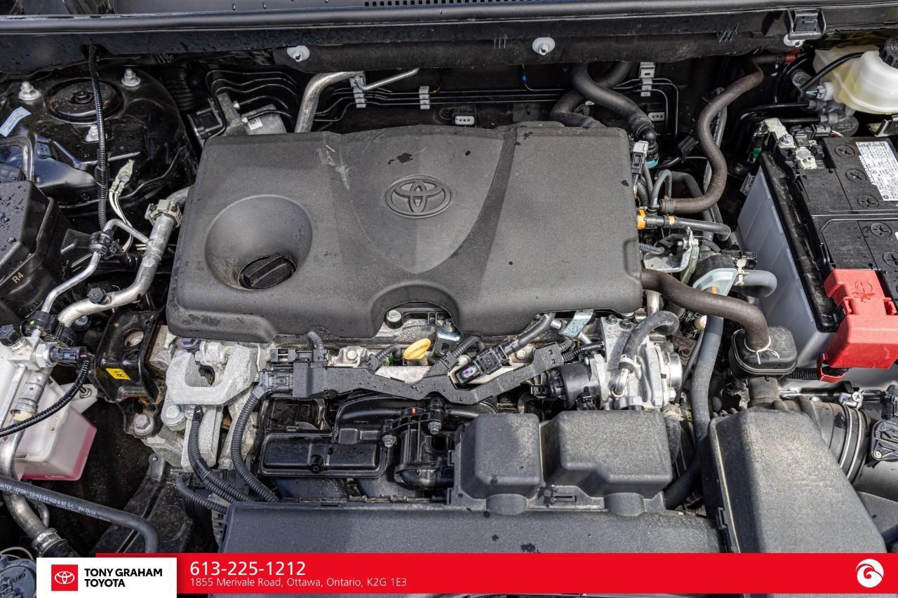 2025 Toyota RAV4 XLE Photo