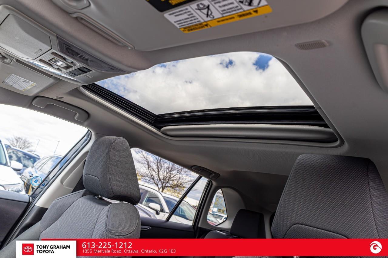 2025 Toyota RAV4 XLE Photo