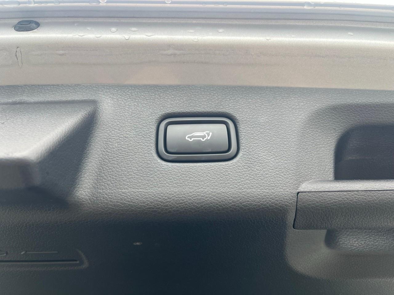 2024 Hyundai PALISADE Urban 8-Passenger AWD Photo