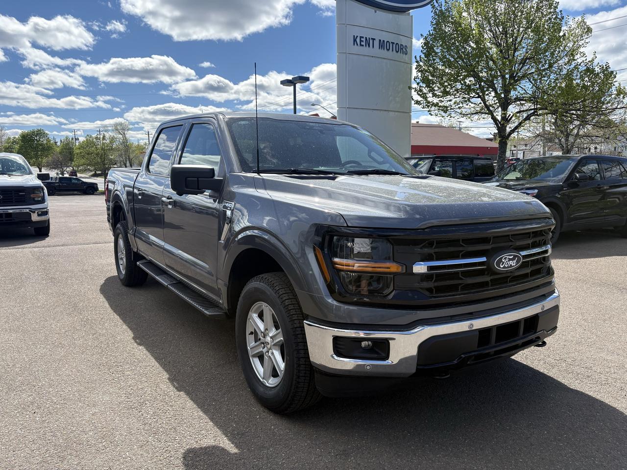 2026 Ford F-150 XLT Photo2