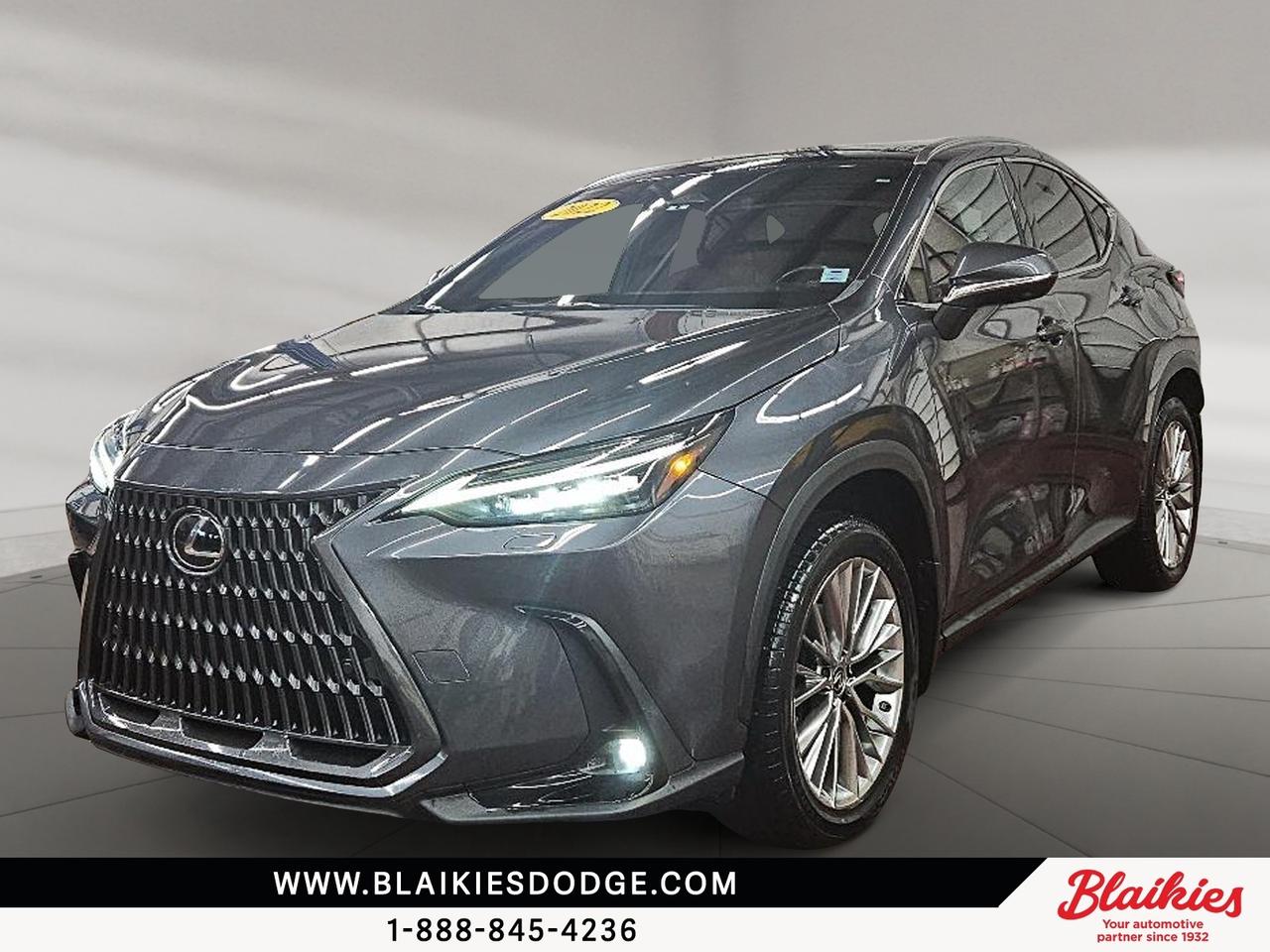 Used 2022 Lexus NX | Luxury AWD with Premium Features for sale in Truro, NS