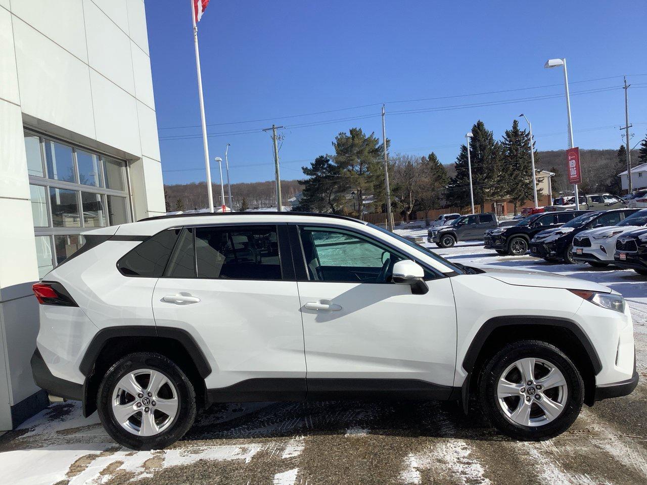 2019 Toyota RAV4 XLE Photo3