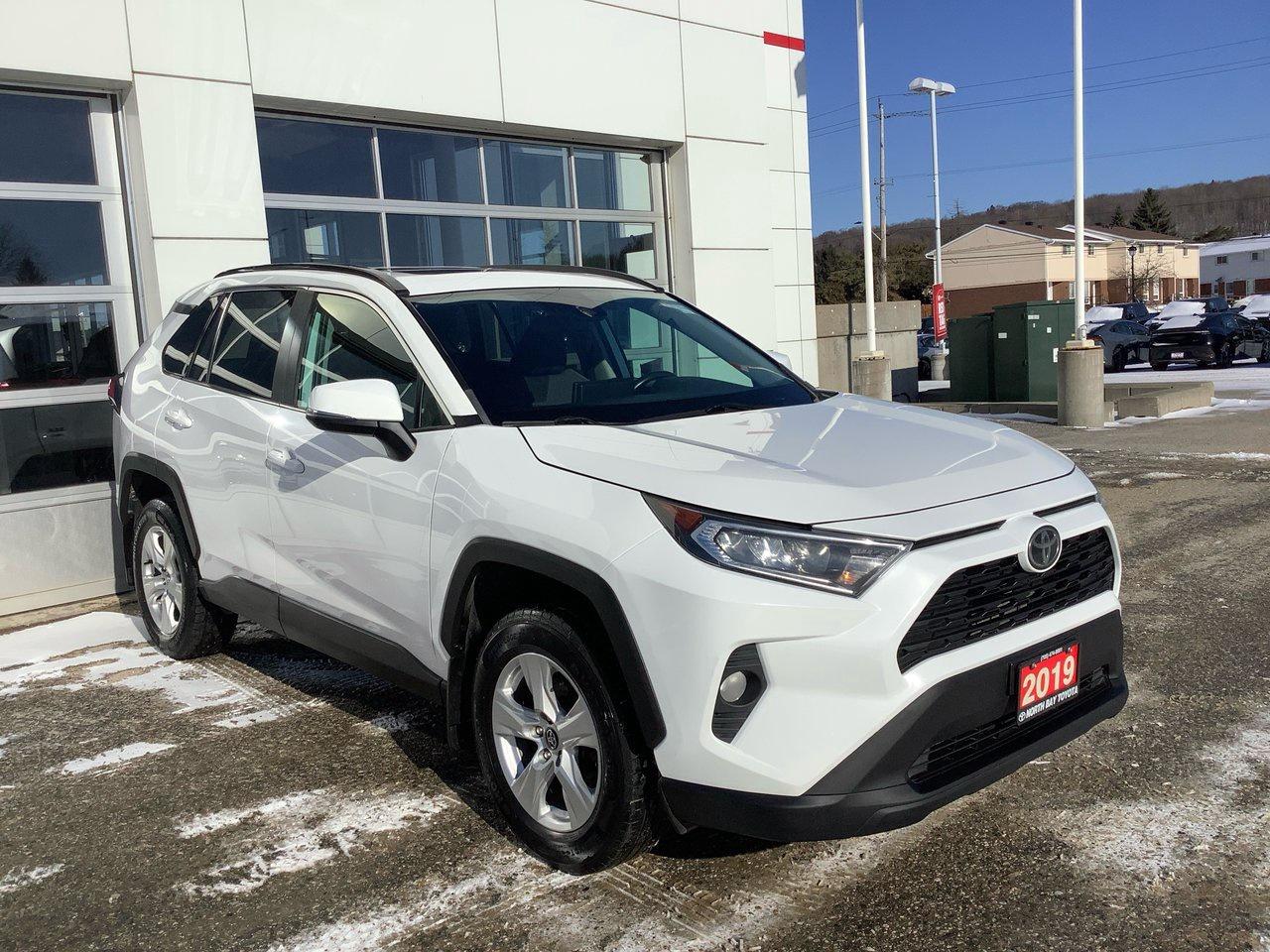 2019 Toyota RAV4 XLE Photo