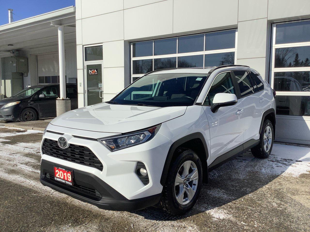 2019 Toyota RAV4 XLE Photo