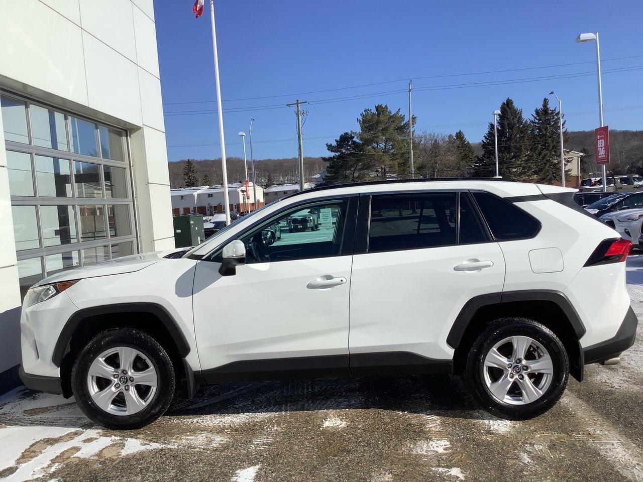 2019 Toyota RAV4 XLE Photo