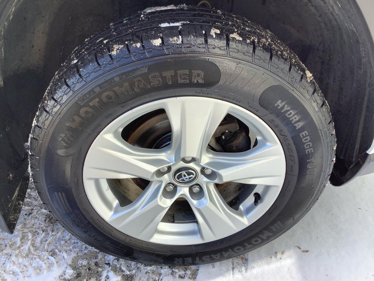 2019 Toyota RAV4 XLE Photo