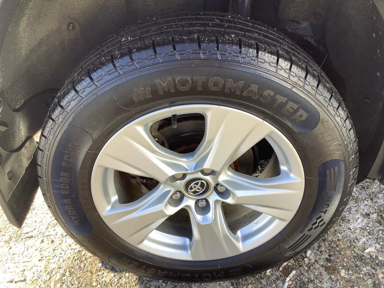 2019 Toyota RAV4 XLE Photo