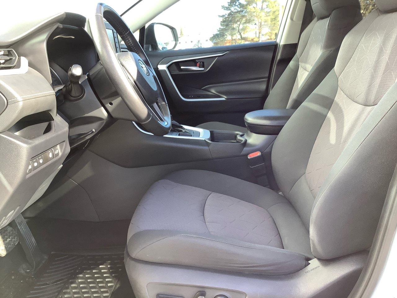 2019 Toyota RAV4 XLE Photo