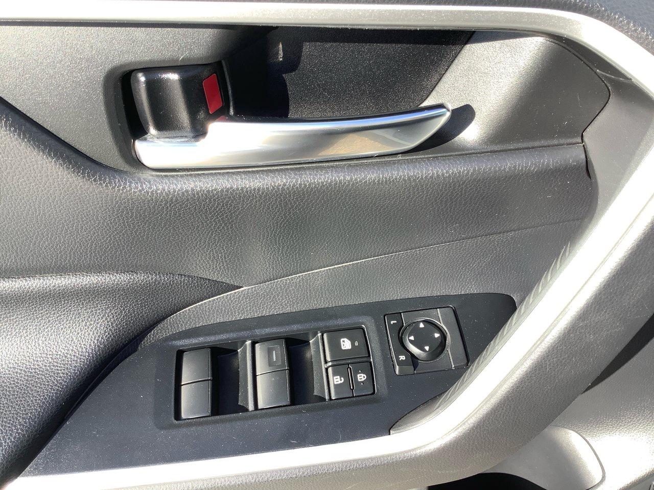 2019 Toyota RAV4 XLE Photo