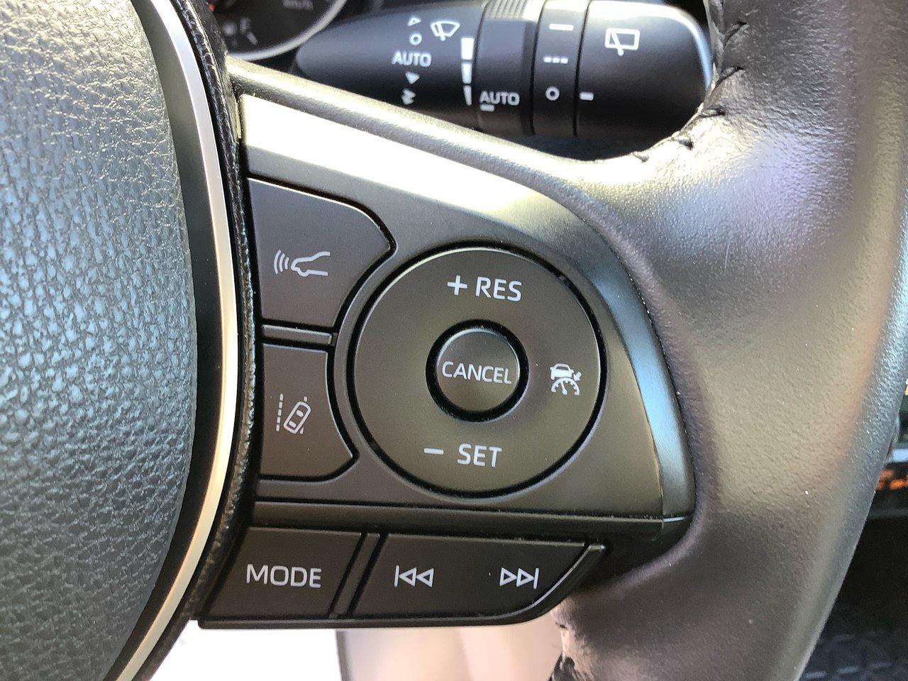 2019 Toyota RAV4 XLE Photo