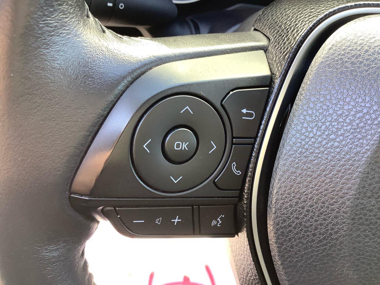 2019 Toyota RAV4 XLE Photo