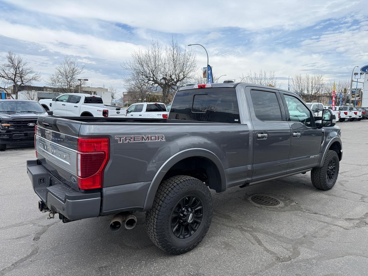 2022 Ford F-350 Super Duty SRW Platinum Photo4