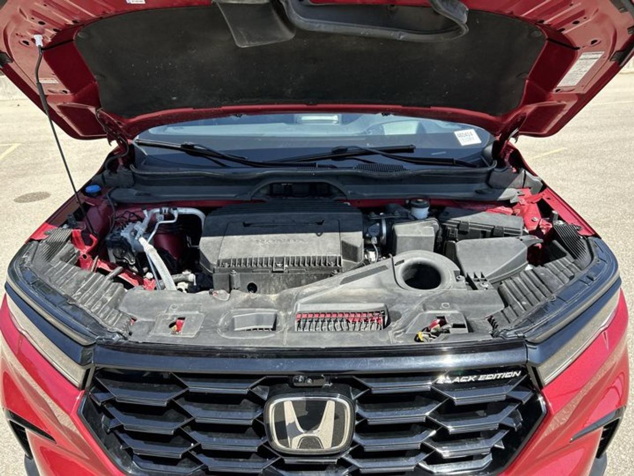 2024 Honda Pilot Black Edition AWD | One Owner | No Accidents | 360 Camera Photo