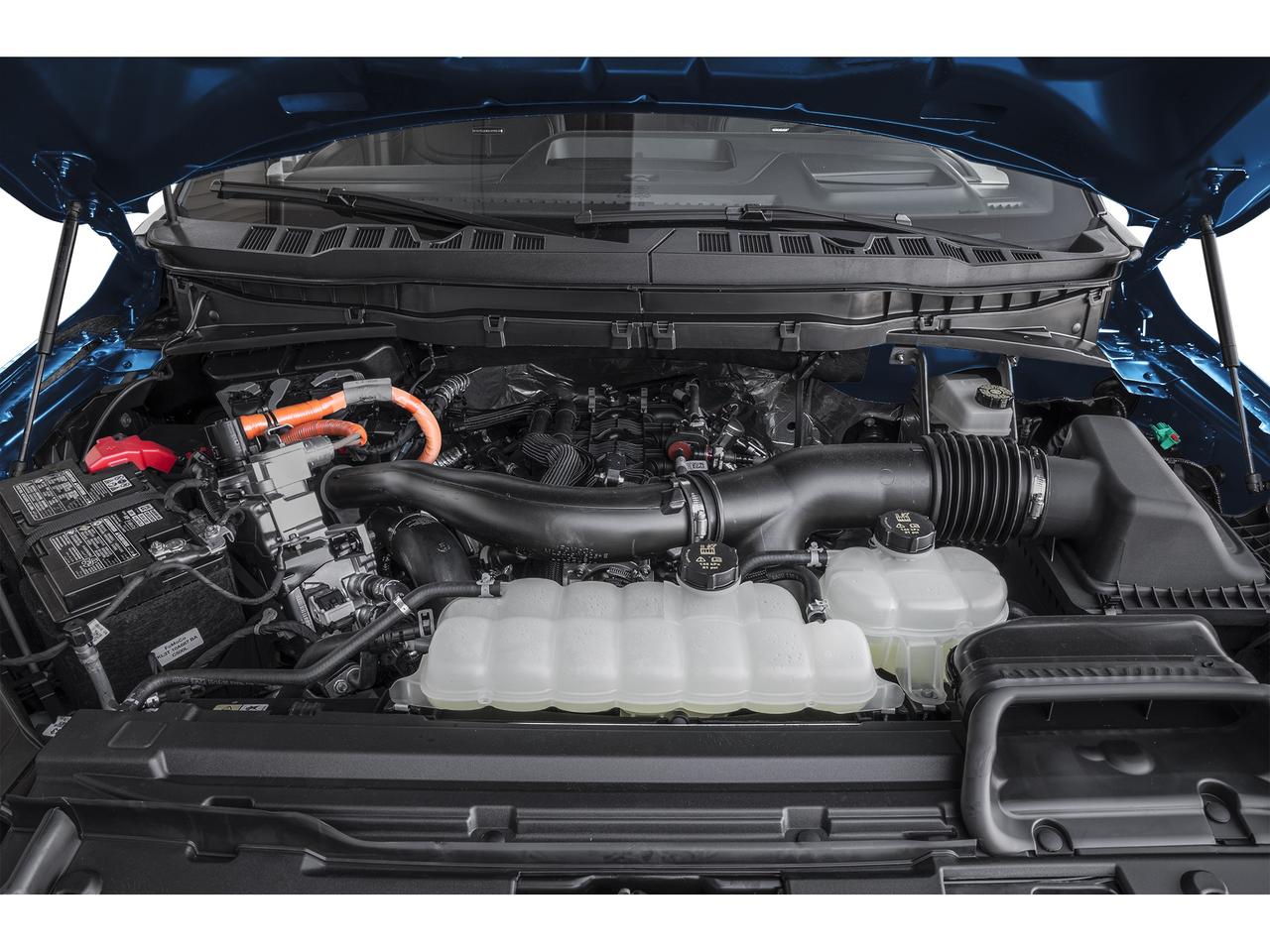 2026 Ford F-150 Platinum Photo