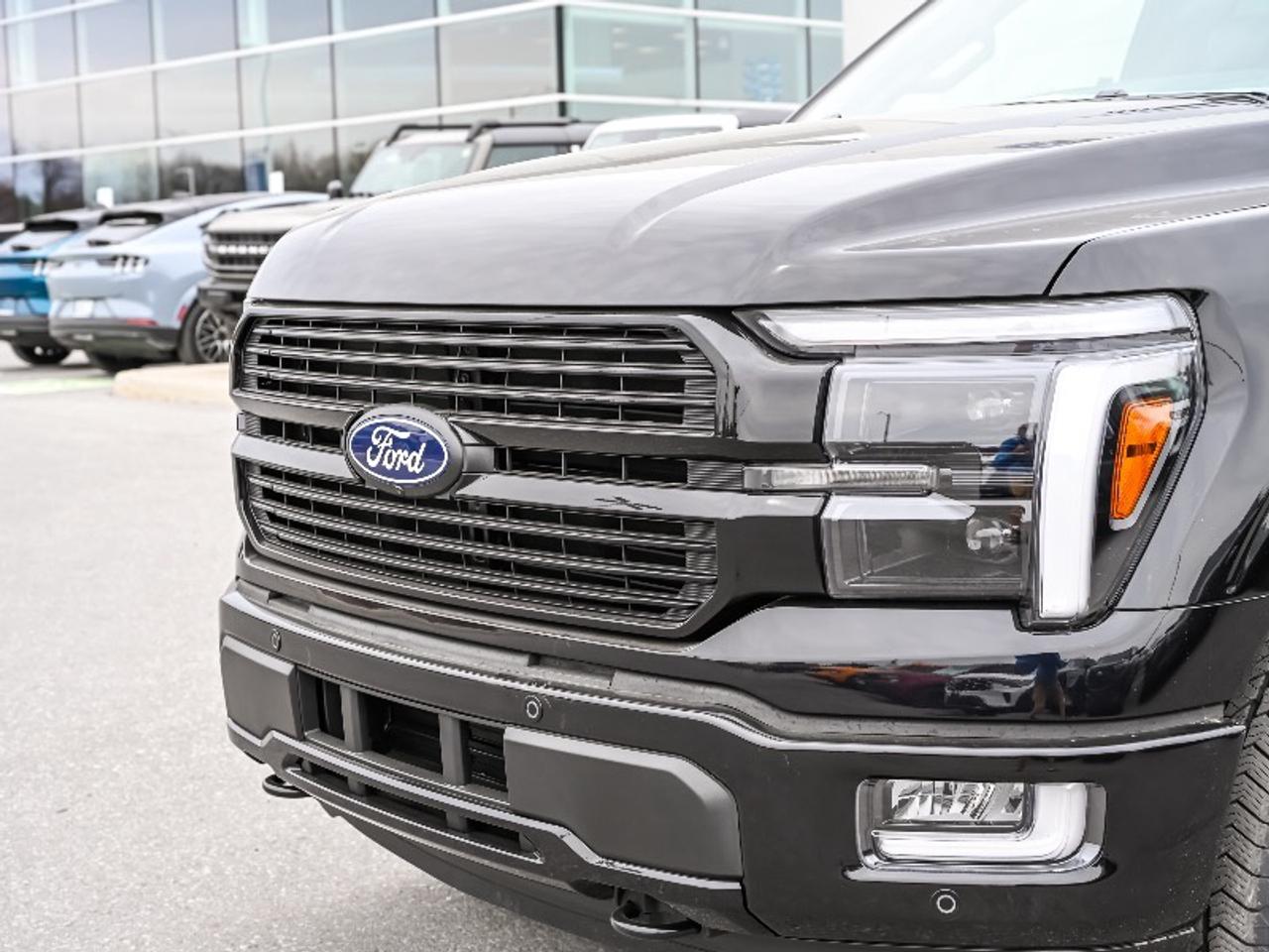 2026 Ford F-150 Platinum Photo4
