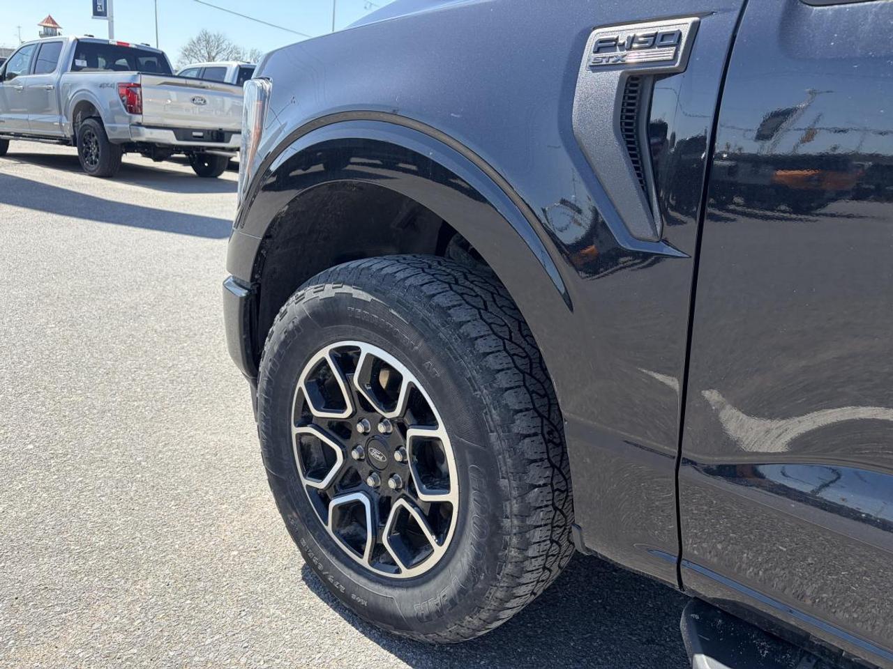 2023 Ford F-150 XL Photo