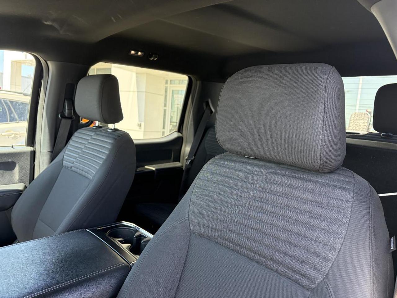 2023 Ford F-150 XL Photo
