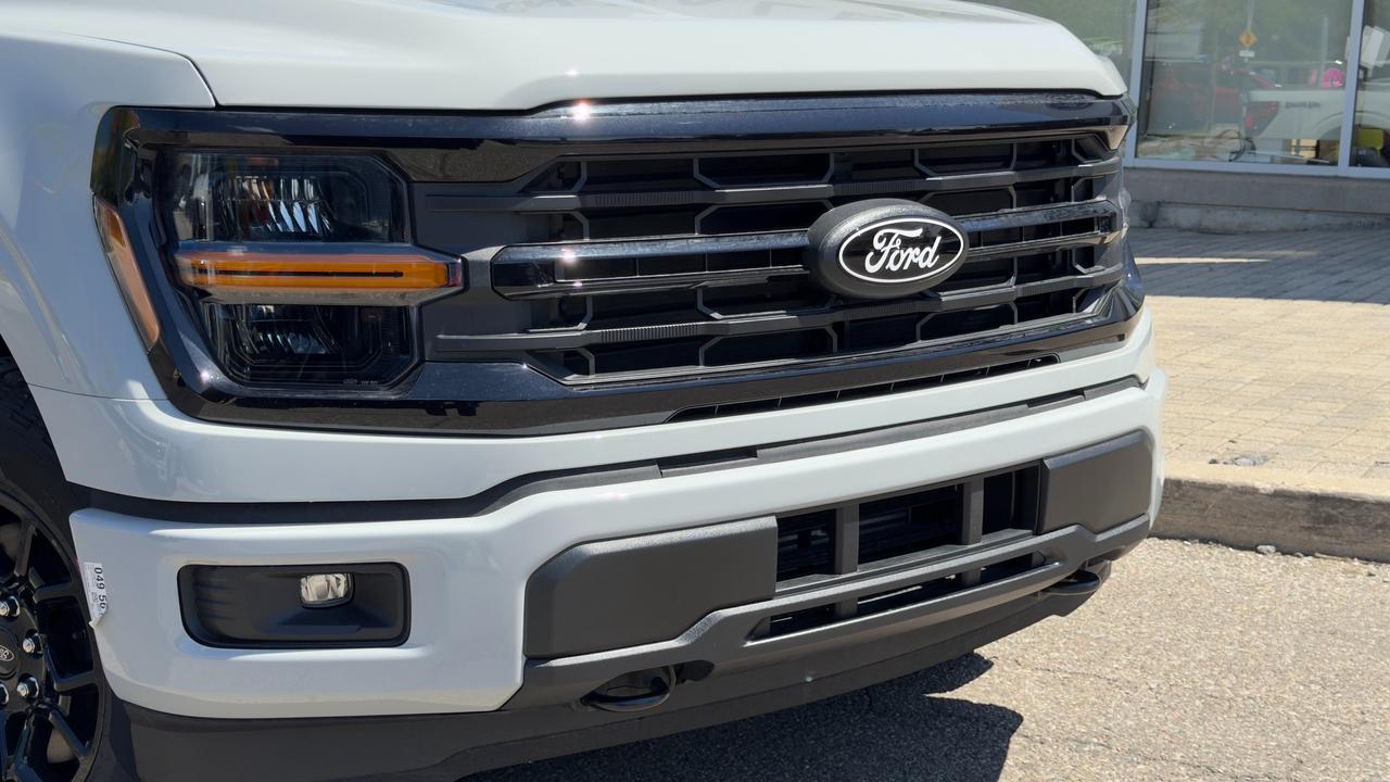 2026 Ford F-150 XLT Photo