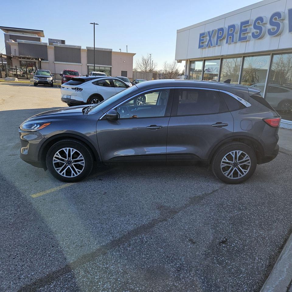 2022 Ford Escape Sel Awd 2.0l Photo