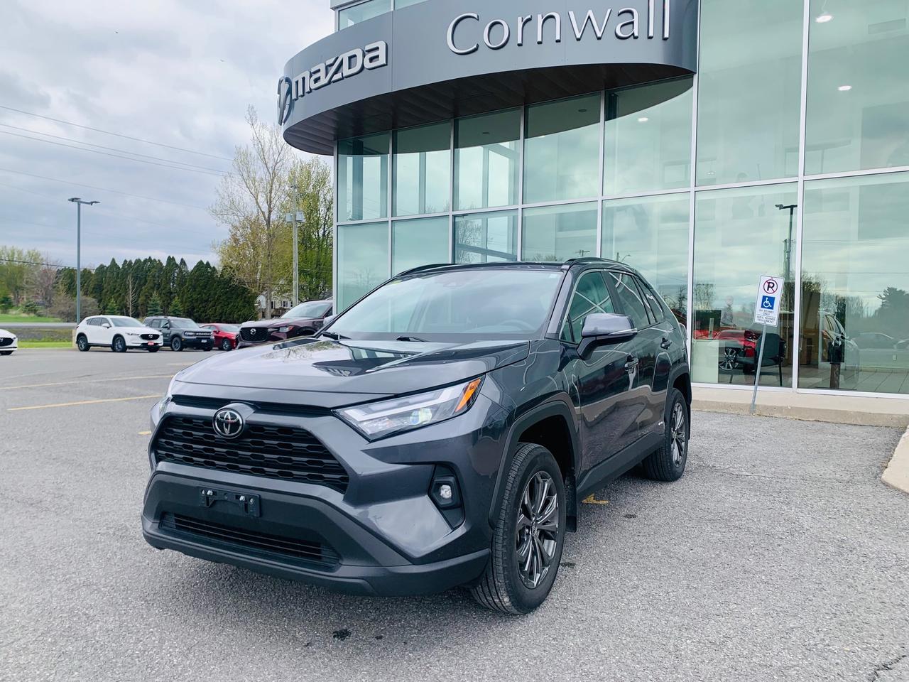 2025 Toyota RAV4 Hybrid XLE 4dr All-Wheel Drive Photo