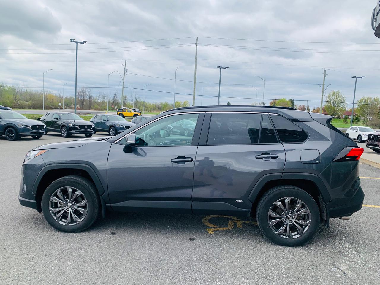 2025 Toyota RAV4 Hybrid XLE 4dr All-Wheel Drive Photo