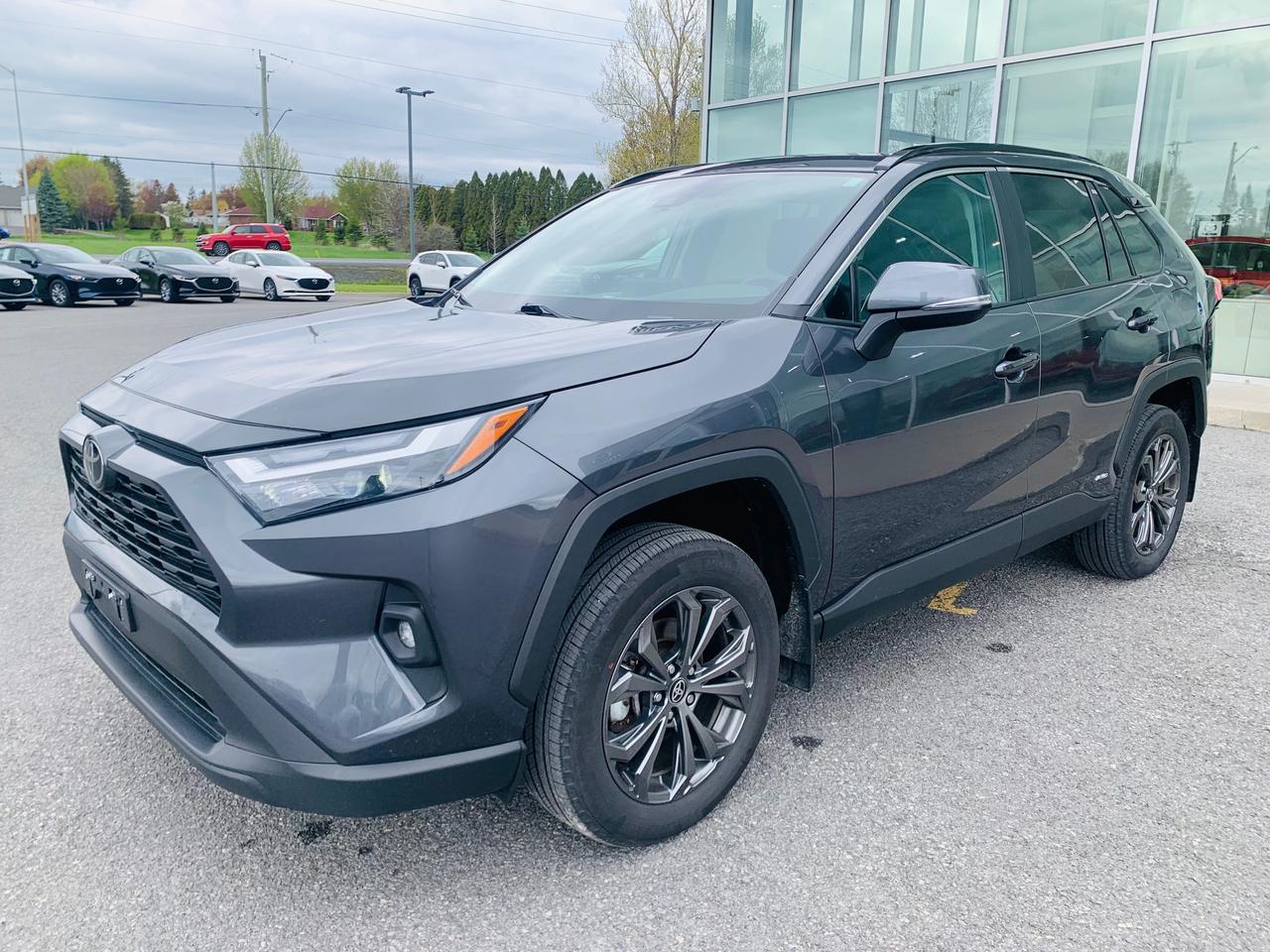 2025 Toyota RAV4 Hybrid XLE 4dr All-Wheel Drive Photo
