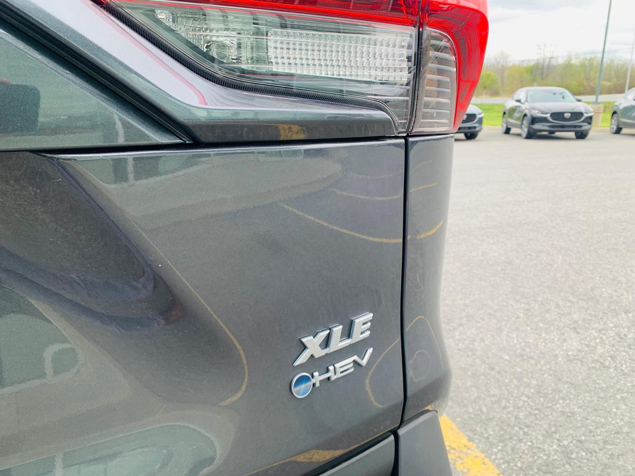 2025 Toyota RAV4 Hybrid XLE 4dr All-Wheel Drive Photo