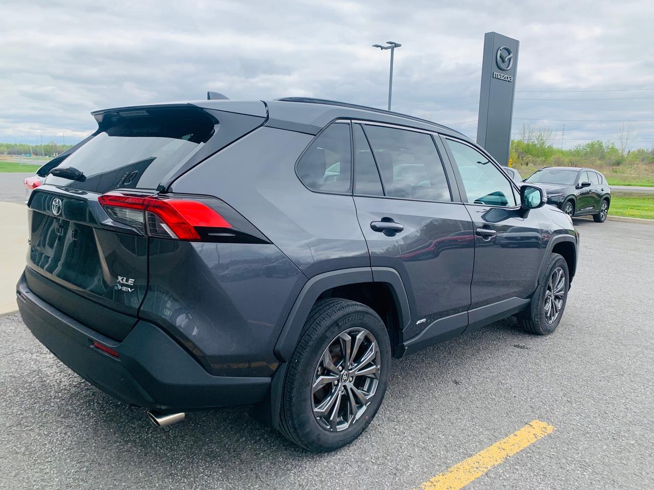 2025 Toyota RAV4 Hybrid XLE 4dr All-Wheel Drive Photo