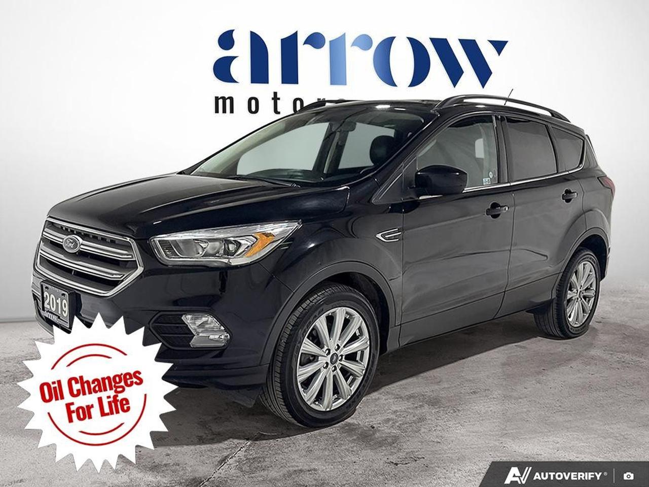2019 Ford Escape SEL 4WD Photo0