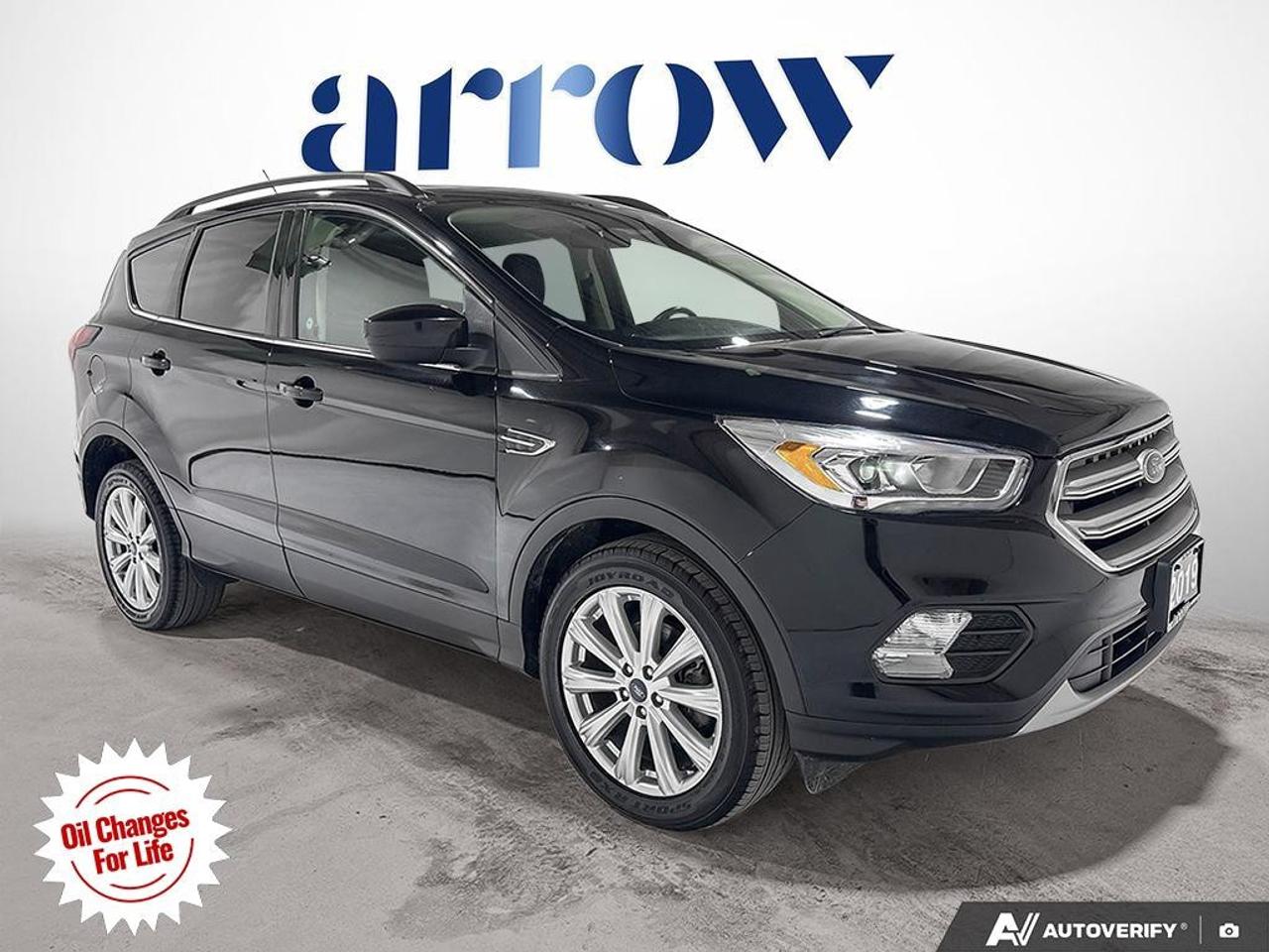 2019 Ford Escape SEL 4WD Photo