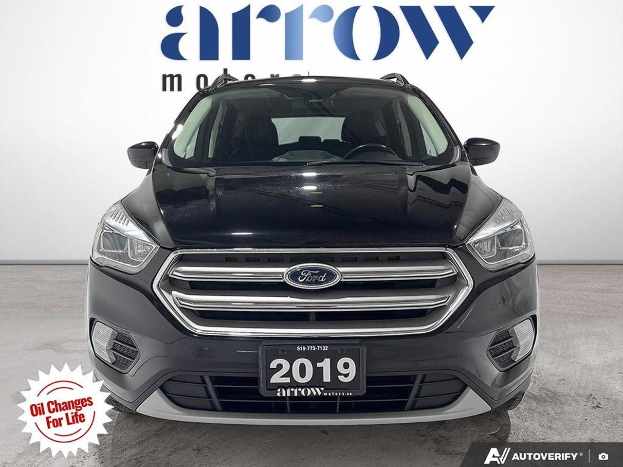 2019 Ford Escape SEL 4WD Photo
