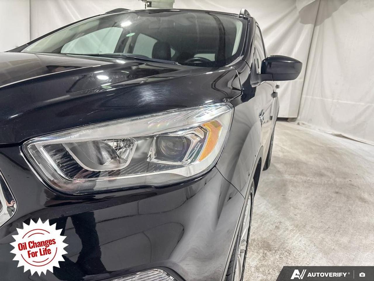 2019 Ford Escape SEL 4WD Photo